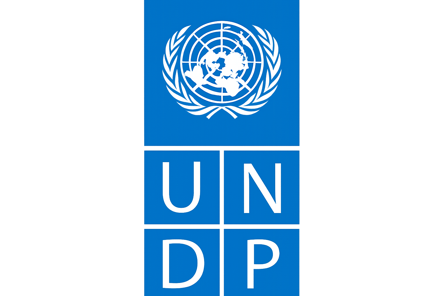UNDP